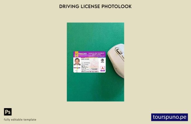 listo para imprimir Plantilla FRONTAL de foto de licencia de conducir de Méxic 1